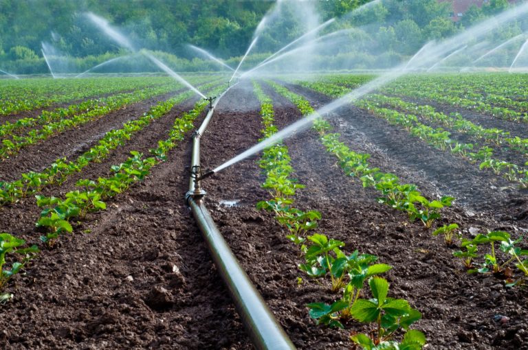 Irrigation Issues – 3 Common Causes Of Agricultural Pumping Problems In Jacksonville, FL