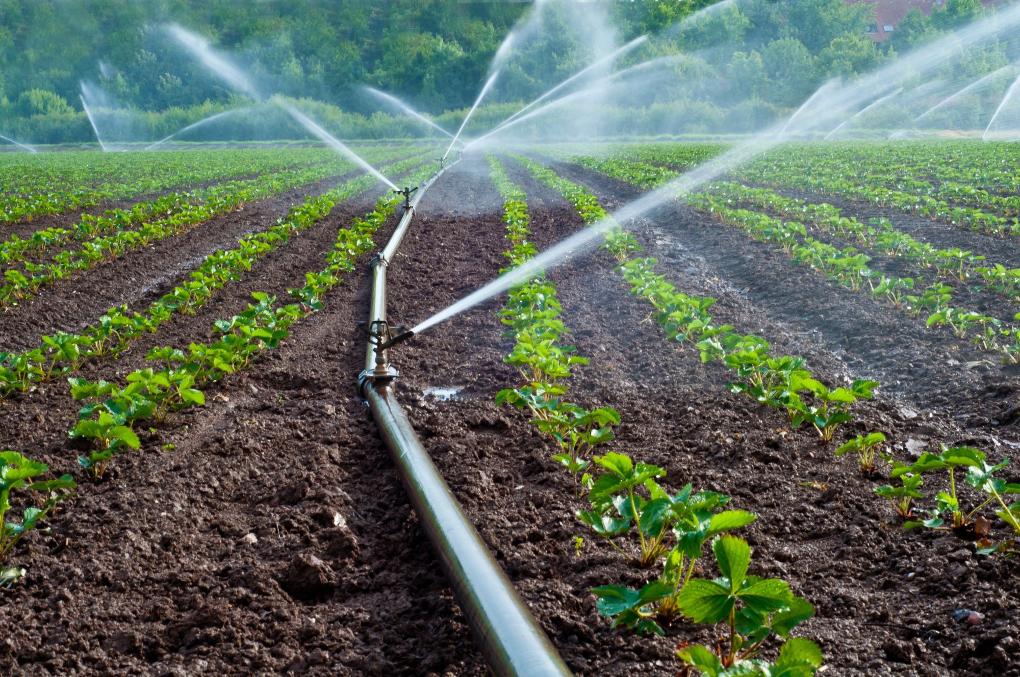 Irrigation Issues - 3 Common Causes Of Agricultural Pumping Problems In Jacksonville, FL