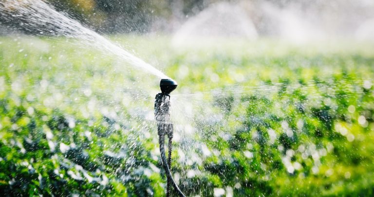 Irrigation Options – What Choices Do Smallholder Farmers Have?