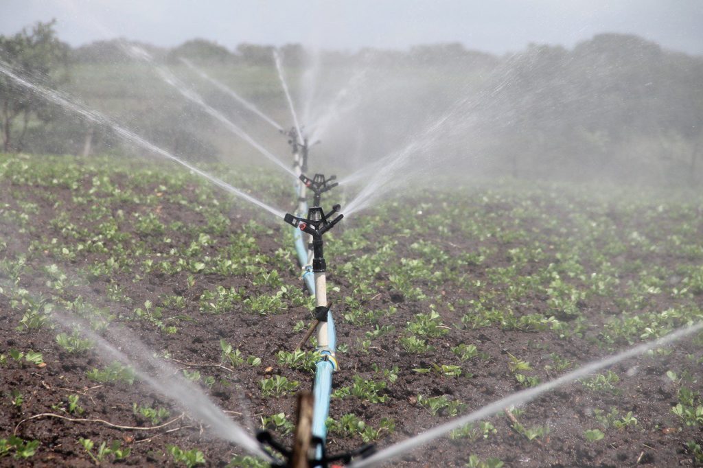 Agricultural Advantages – Examining The Benefits Of Agricultural Water Pumps cover